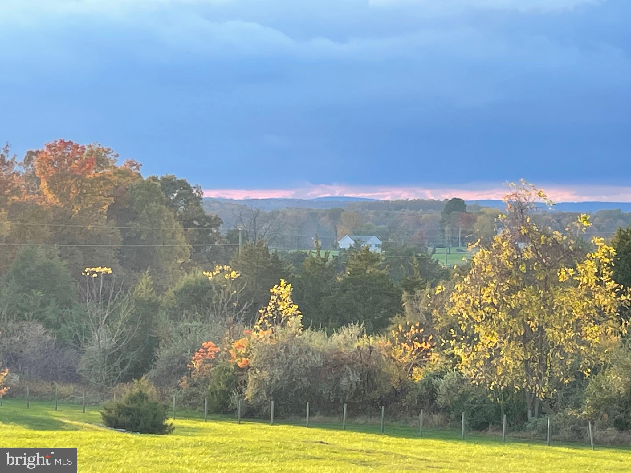 RED CEDAR - Residential