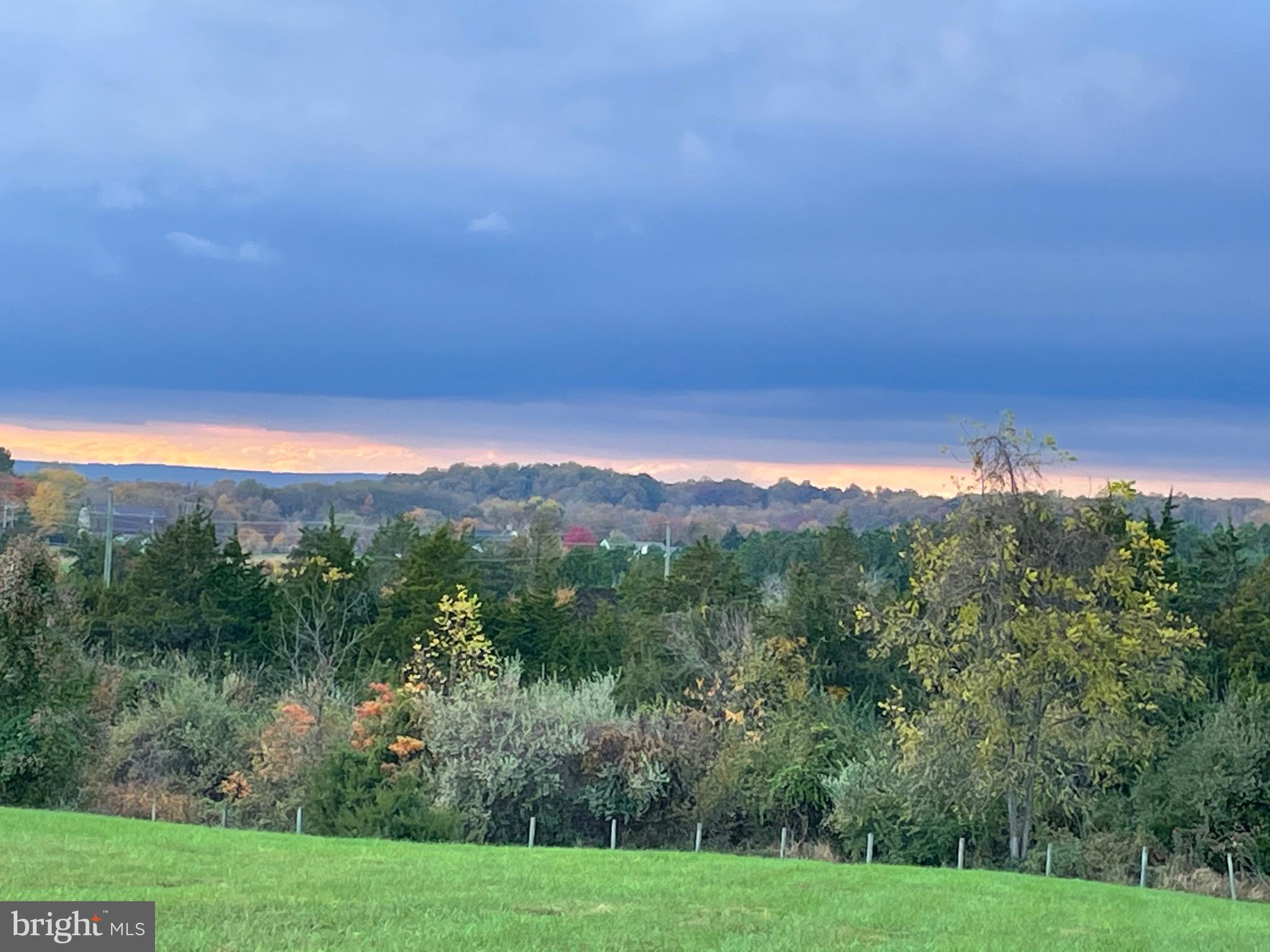 RED CEDAR - Residential