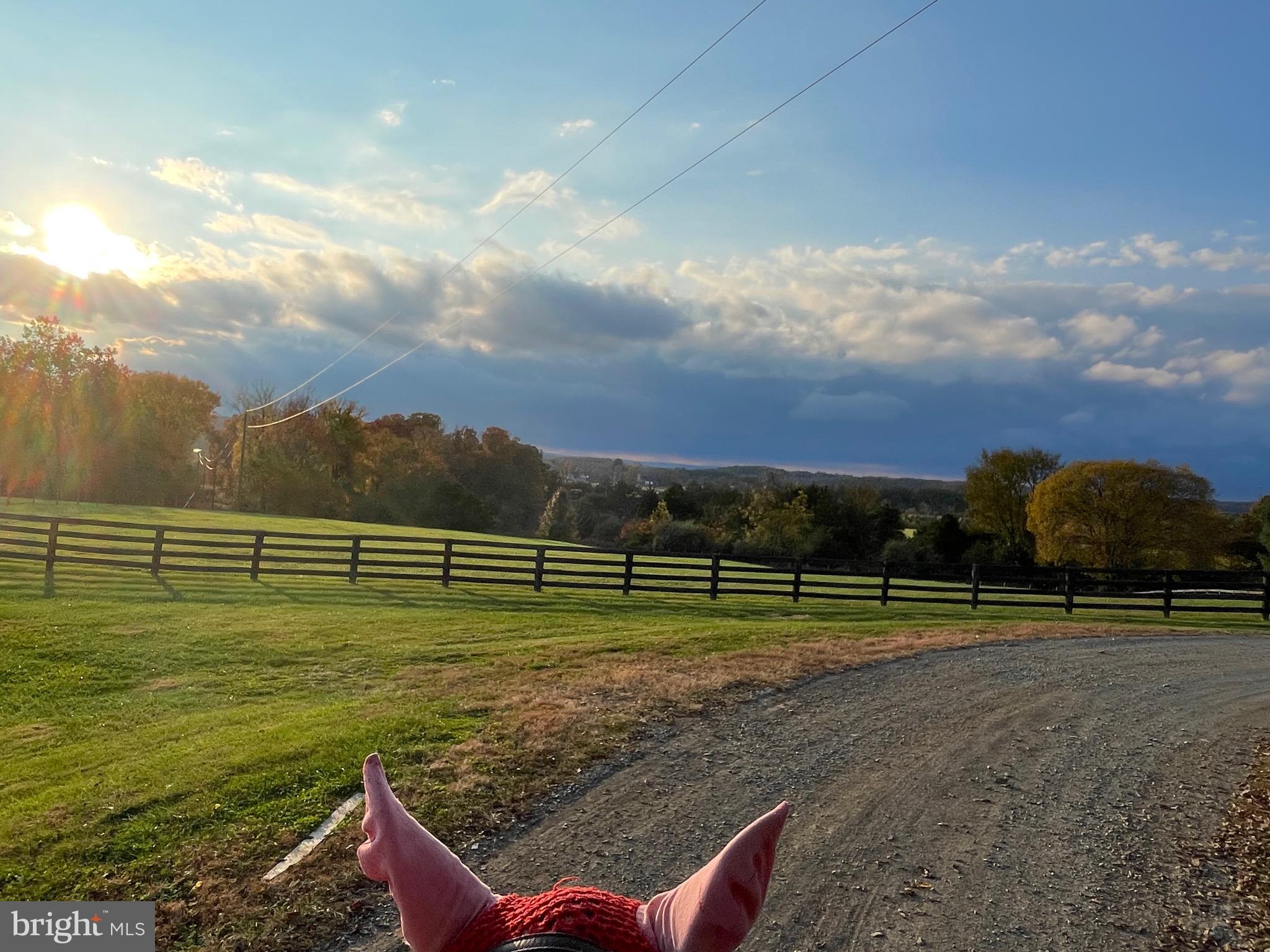 RED CEDAR - Residential