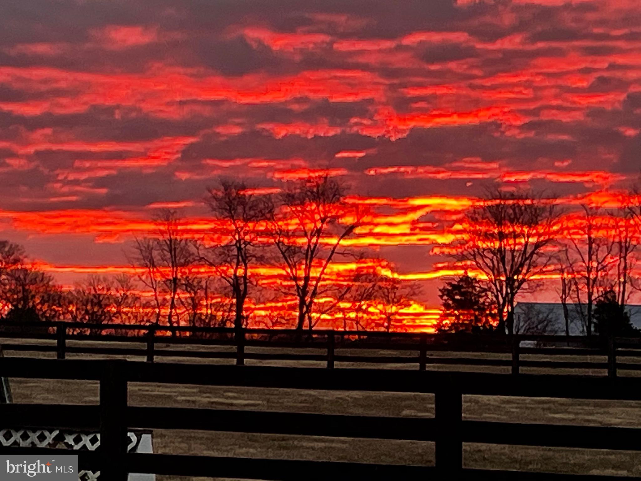 RED CEDAR - Residential