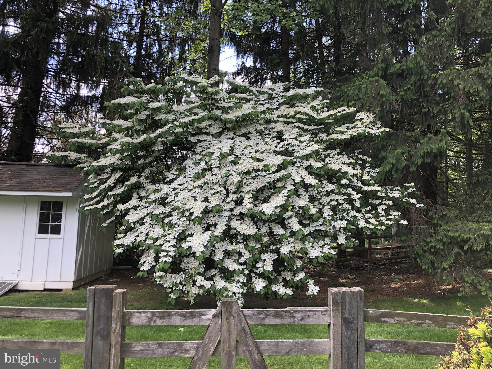 ECHO VALLEY - Residential