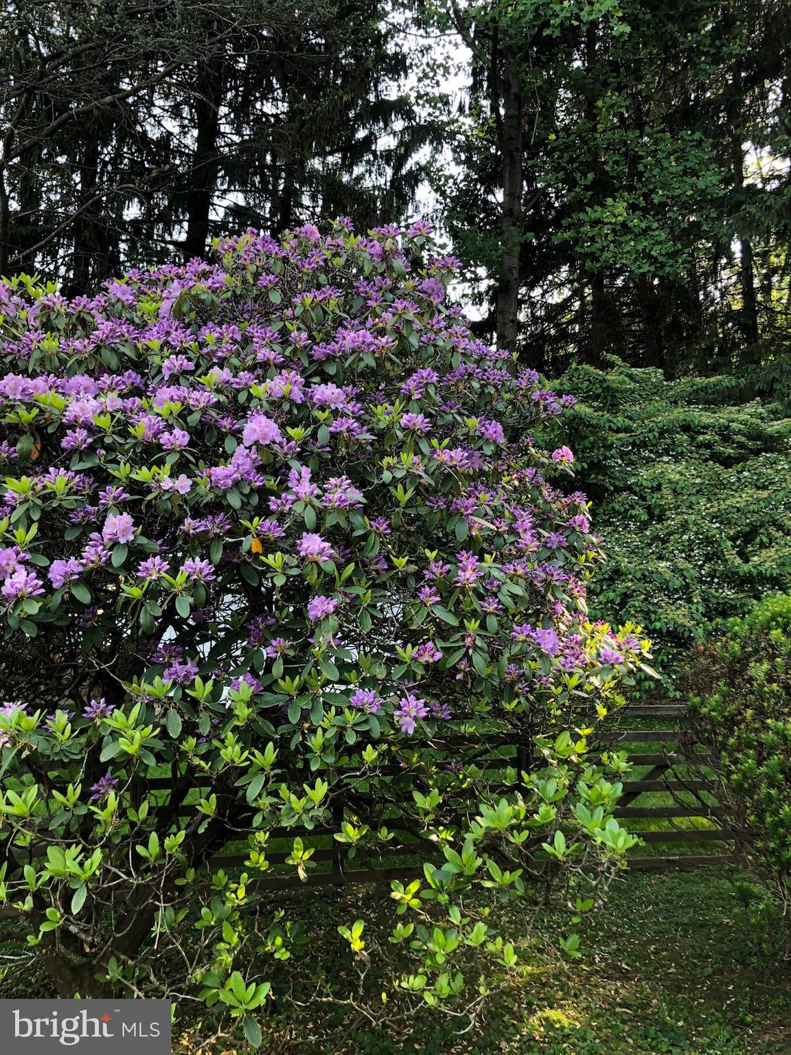 ECHO VALLEY - Residential