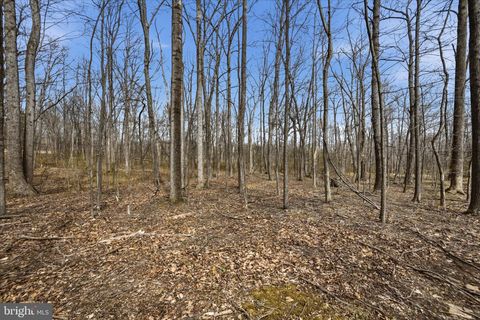 Vacant Land For Sale - 2412 Mountain Road<br/> Prince William County, HAYMARKET, VA 20169