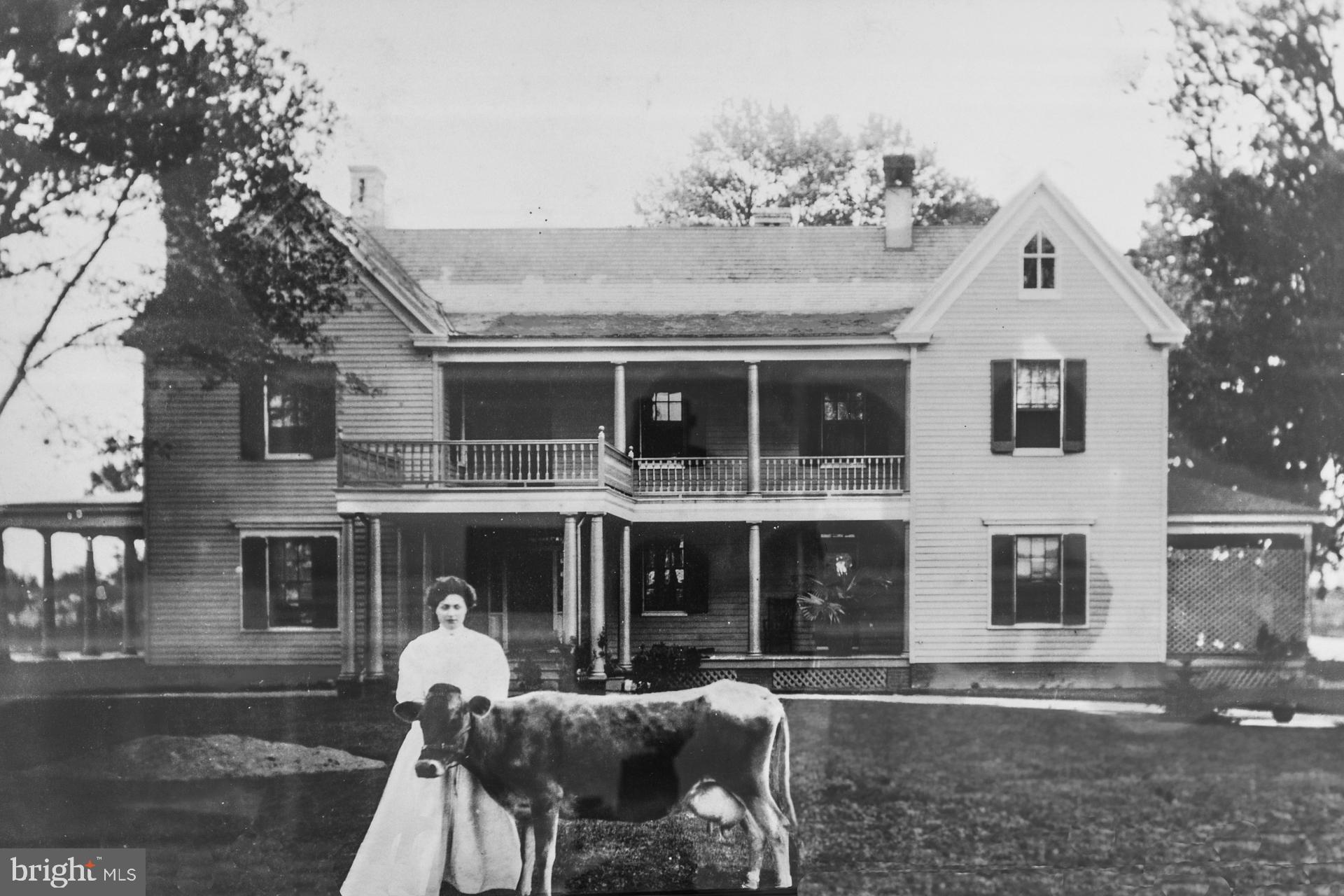 HORNS POINT - Residential