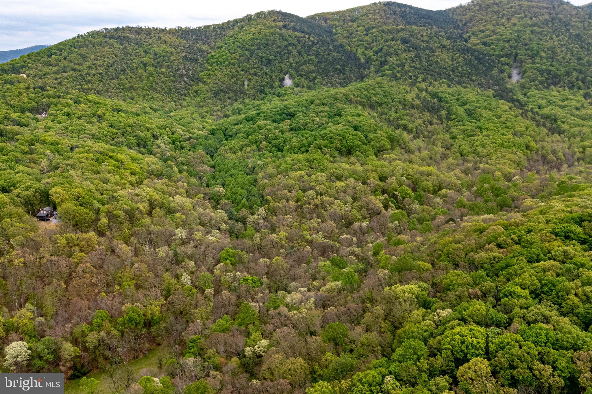 SHENANDOAH GAP - Land