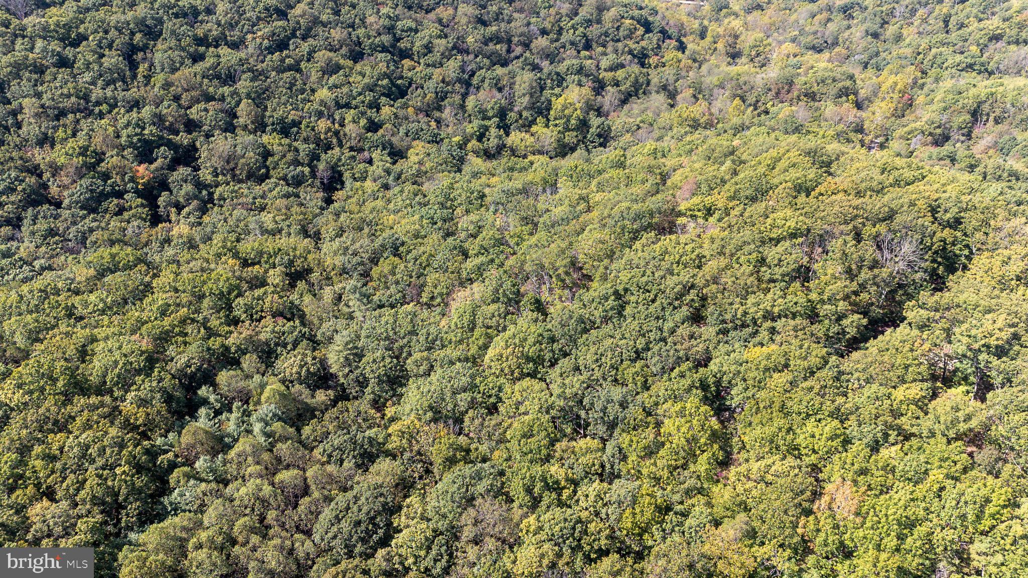 SHENANDOAH GAP - Land