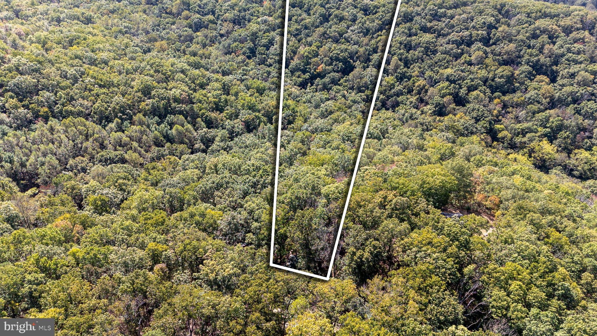 SHENANDOAH GAP - Land