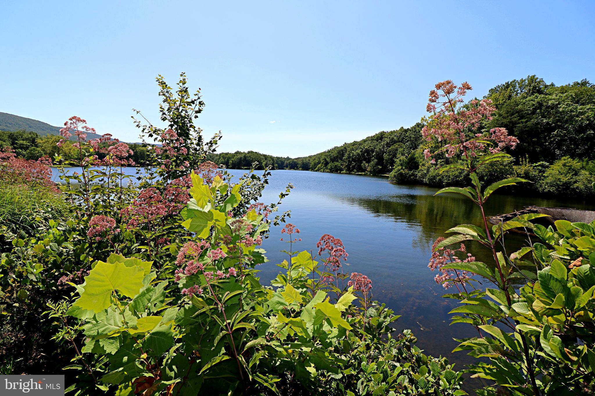 SHANNONDALE - Residential