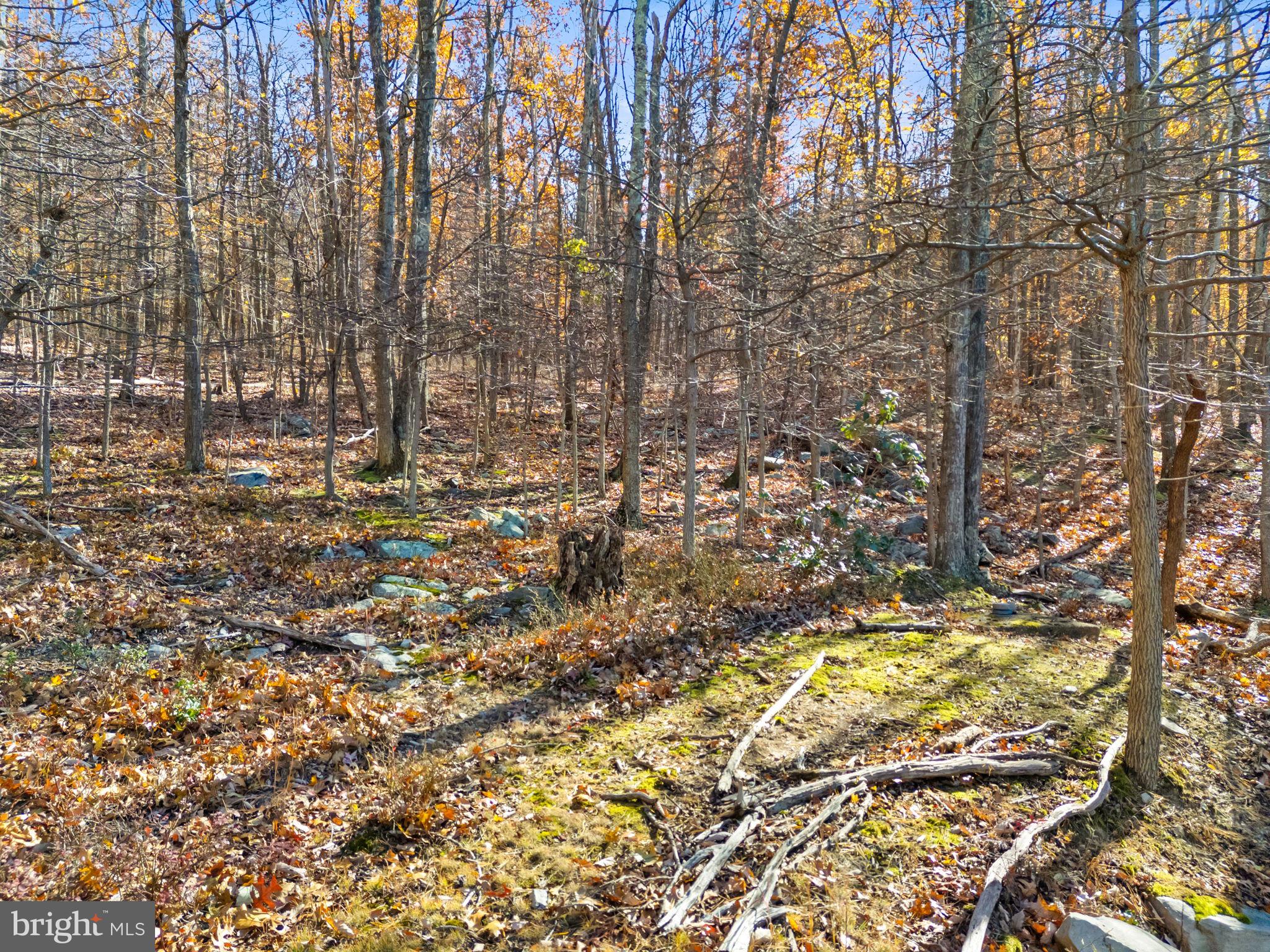 SHANNONDALE - Residential