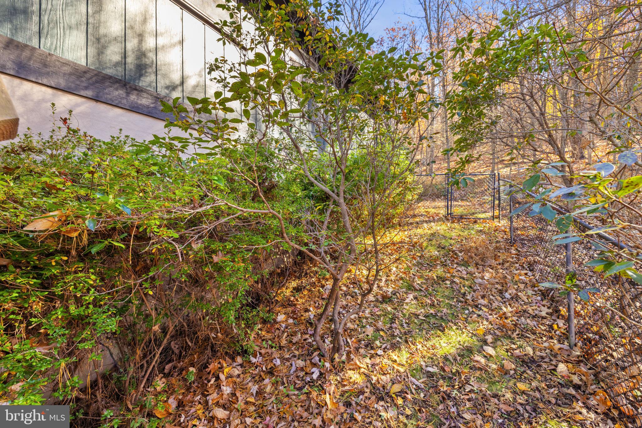 SHANNONDALE - Residential