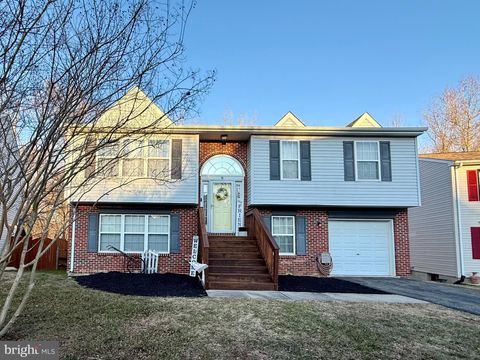 56 JESSE BOYD CIRCLE ELKTON MD 21921
