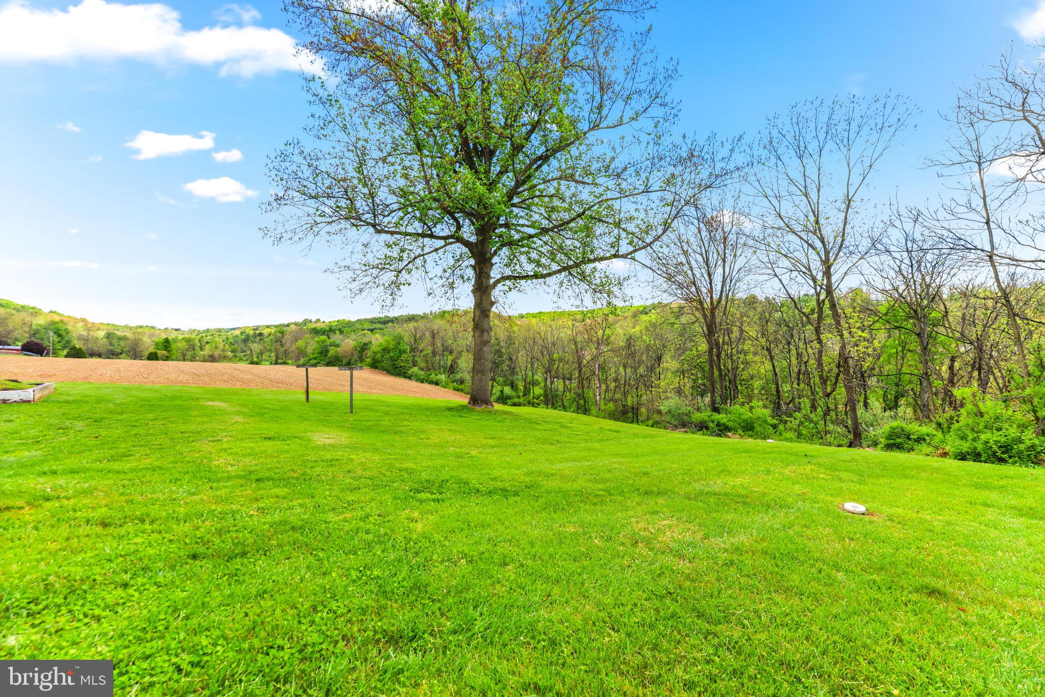 ALESIA HEIGHTS - Residential