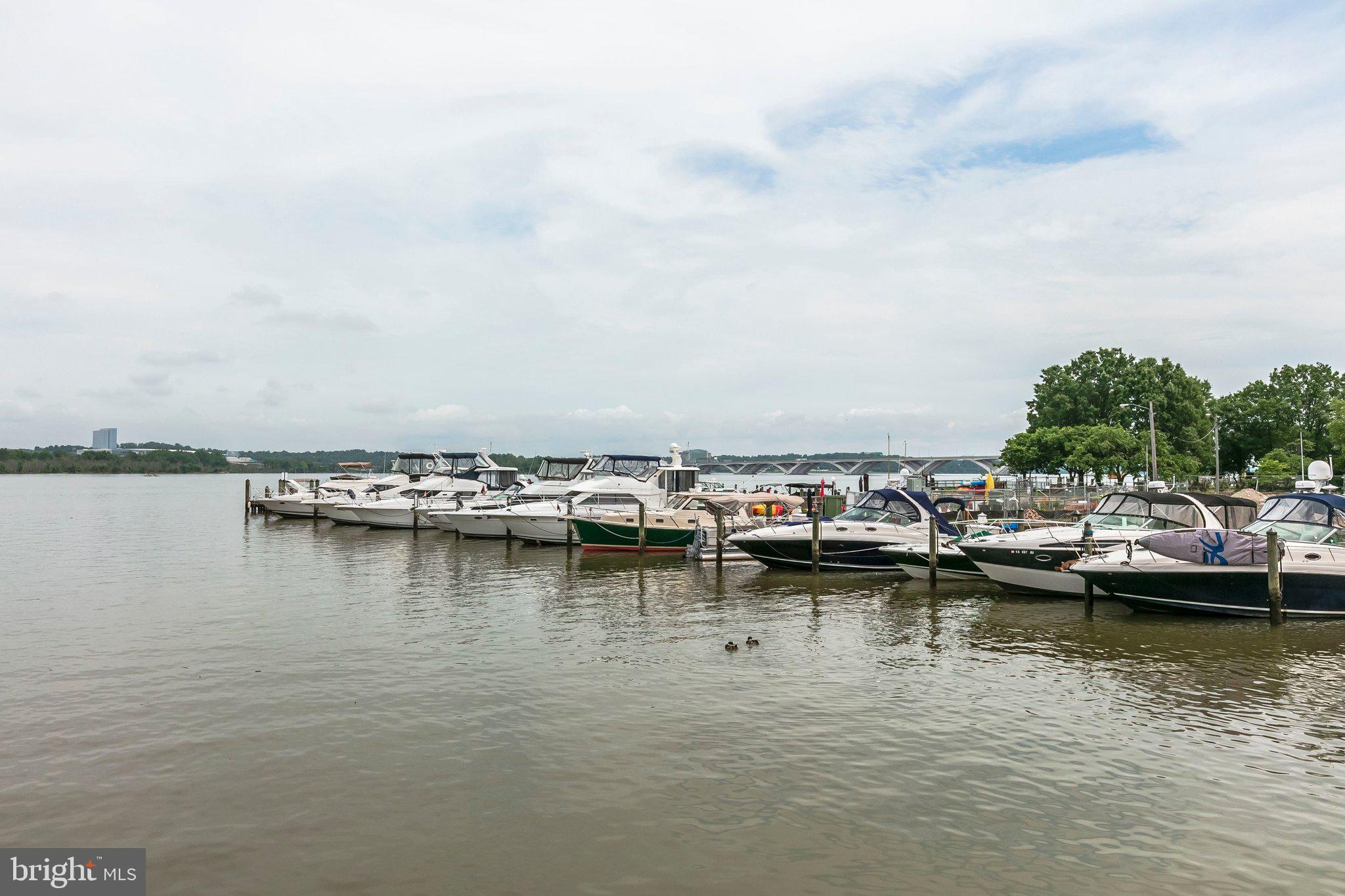 COLLINGWOOD ON THE POTOMAC - Residential