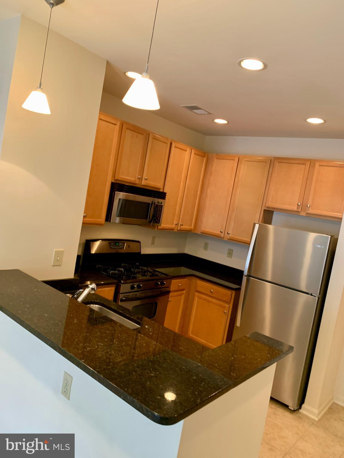 HALSTEAD AT THE METRO - Residential Lease