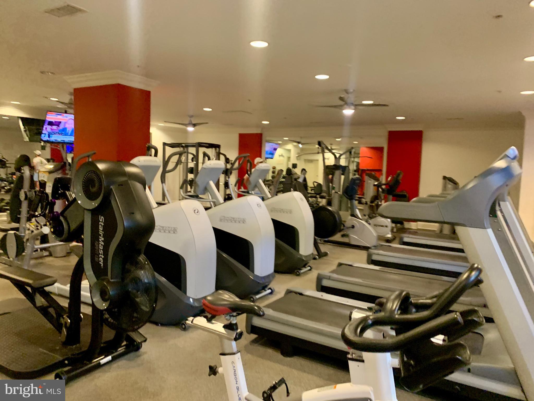 HALSTEAD AT THE METRO - Residential Lease