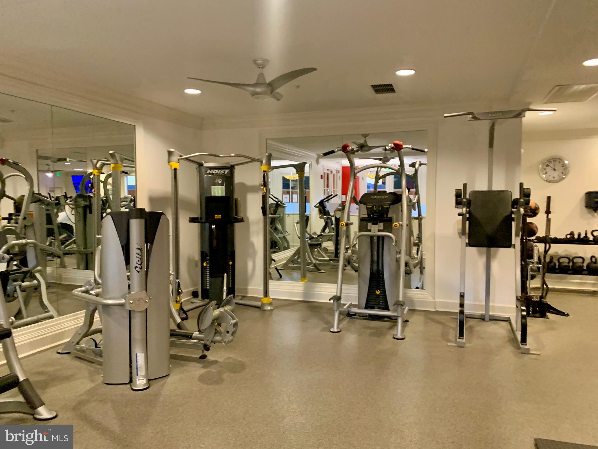 HALSTEAD AT THE METRO - Residential Lease