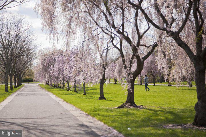 FRANCISVILLE - Residential