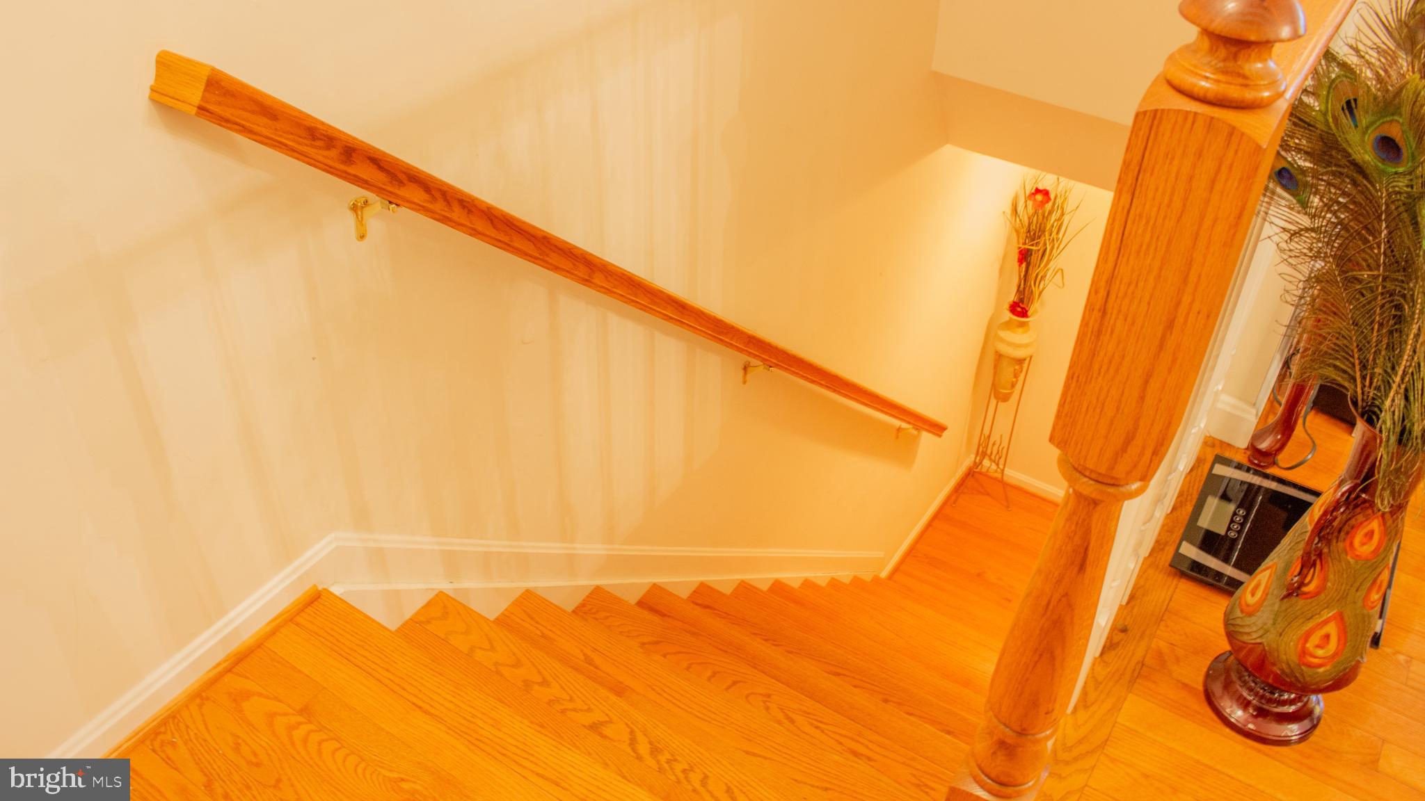 PEGG RUN TOWNHOMES - Residential