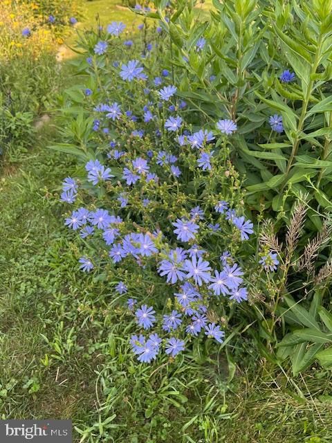 Tiny photo for 27 S 7th Street, QUAKERTOWN, PA 18951 (MLS # PABU2107036)