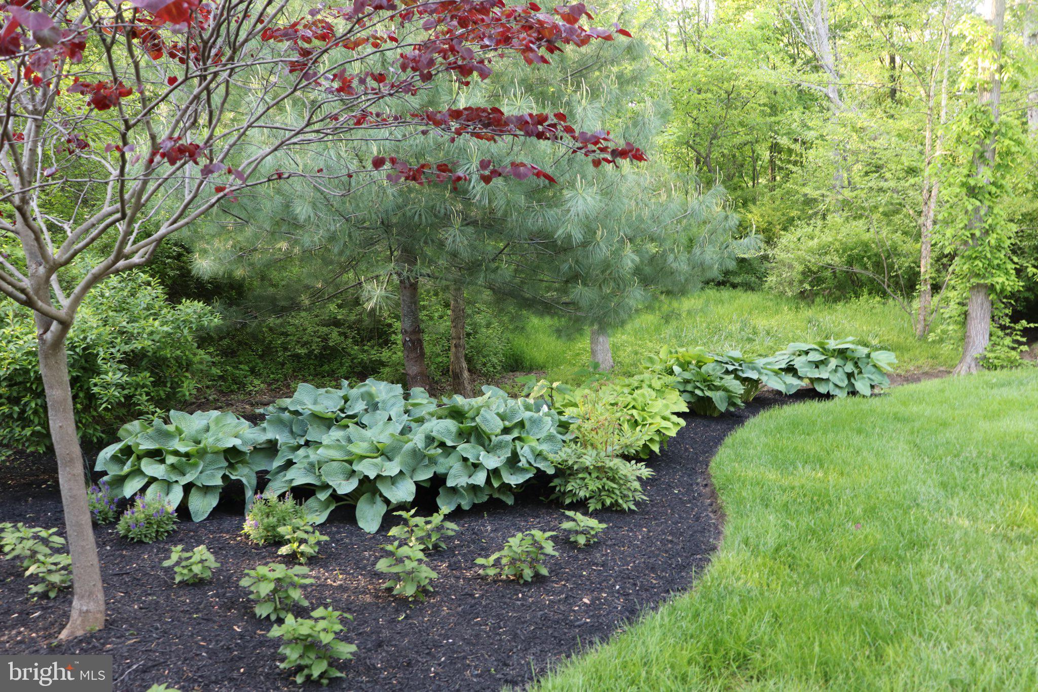 CHESTNUT CREEK - Residential