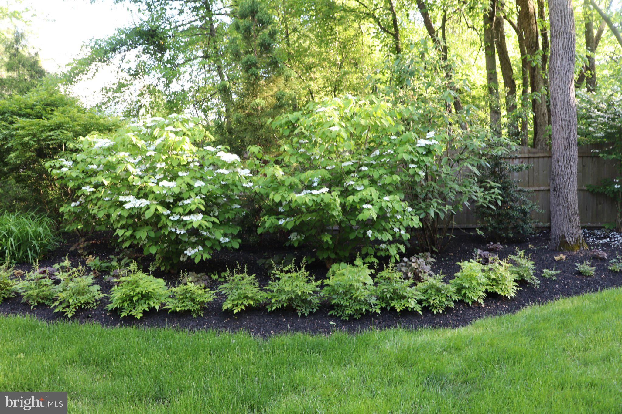 CHESTNUT CREEK - Residential