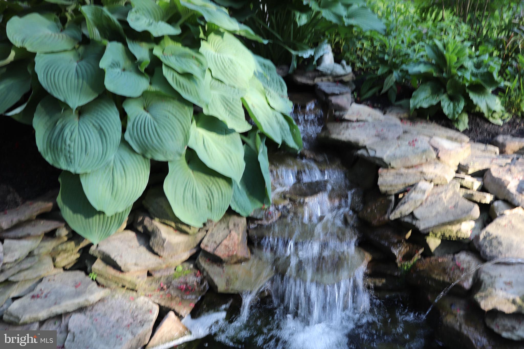 CHESTNUT CREEK - Residential