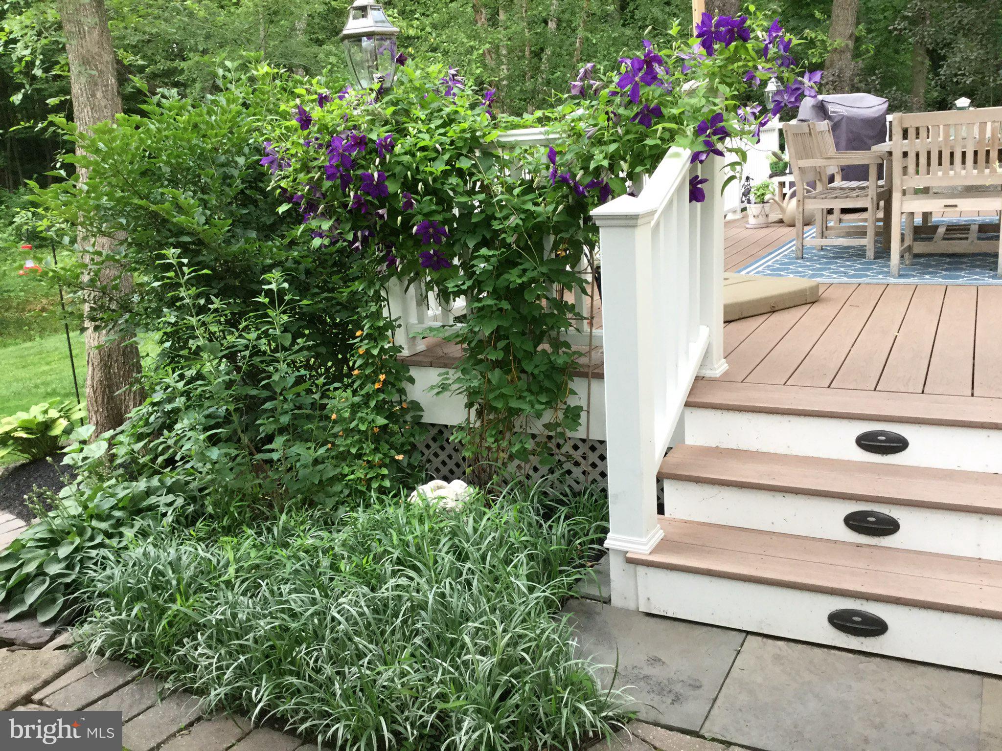 CHESTNUT CREEK - Residential