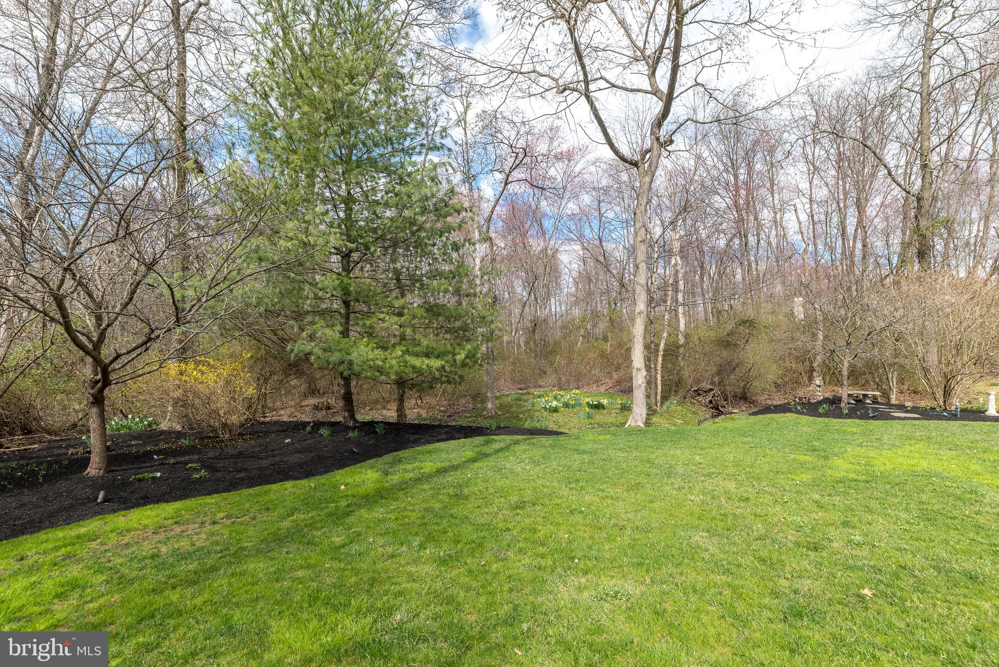 CHESTNUT CREEK - Residential