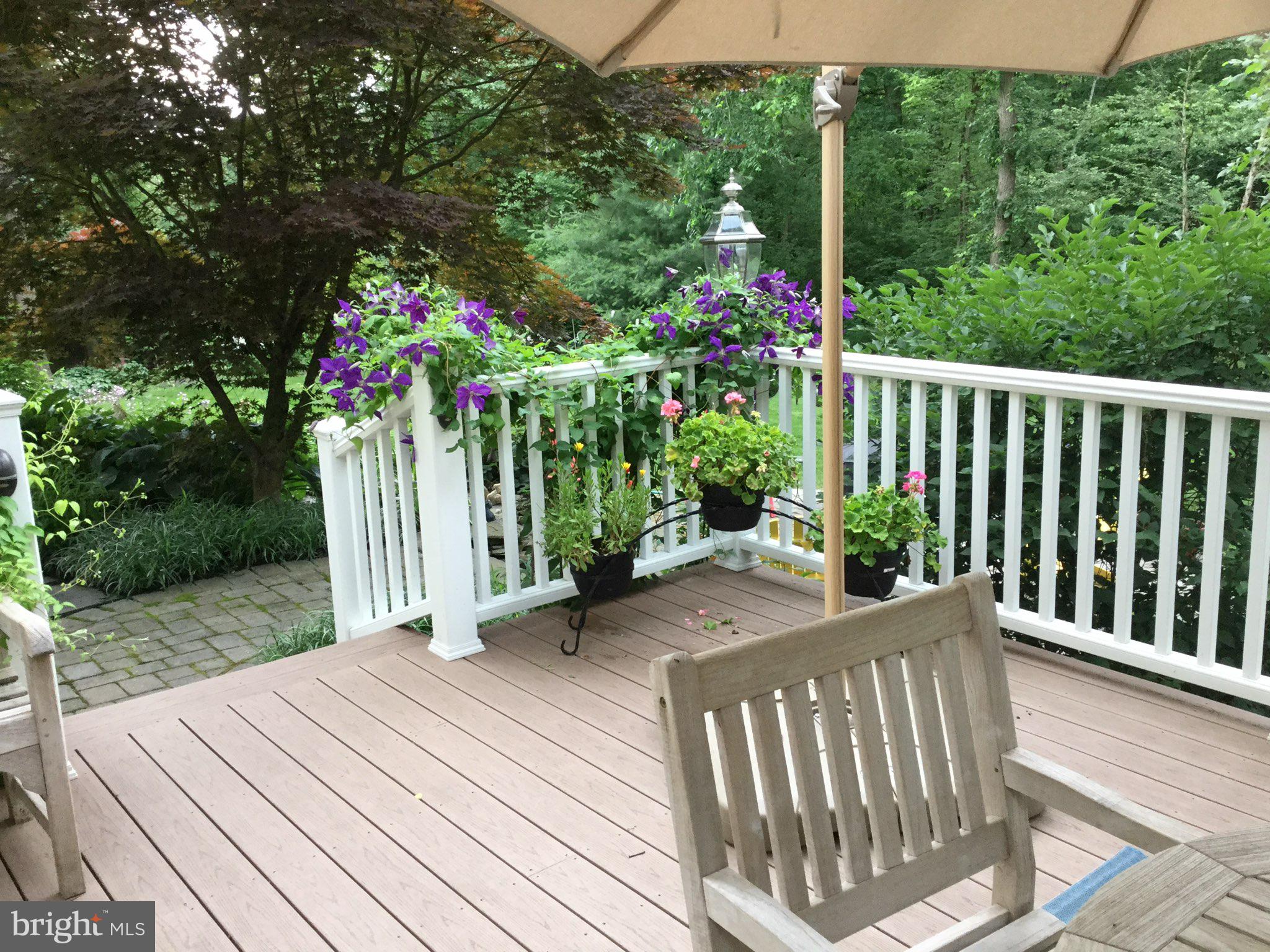 CHESTNUT CREEK - Residential