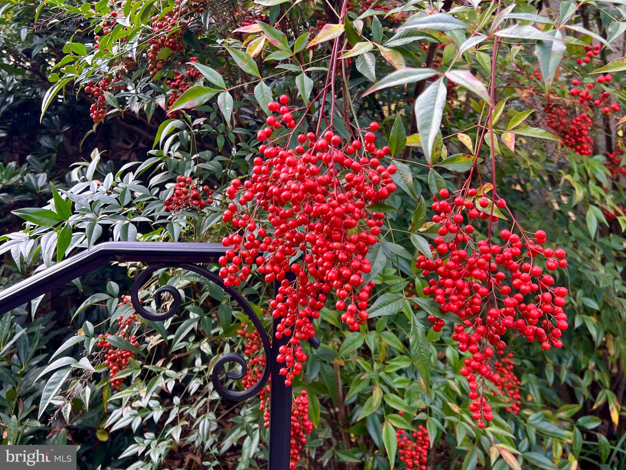 NORTH HILLS - Residential