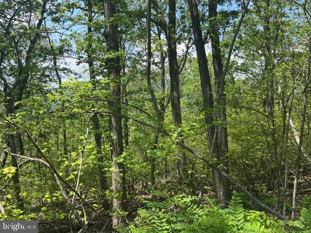 CACAPON HEIGHTS - Land