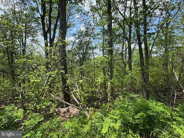 CACAPON HEIGHTS - Land