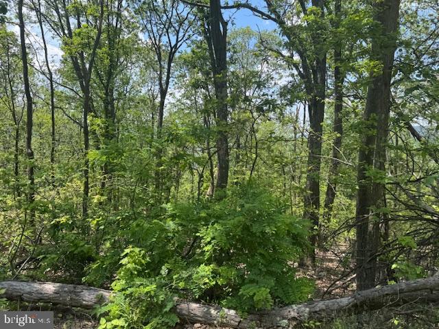 CACAPON HEIGHTS - Land