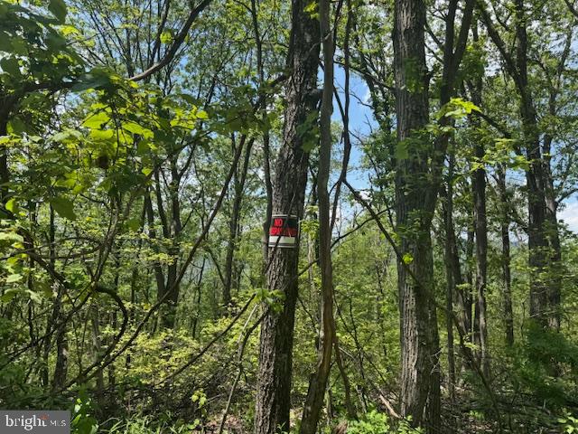 CACAPON HEIGHTS - Land