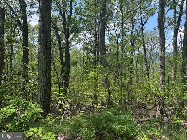 CACAPON HEIGHTS - Land