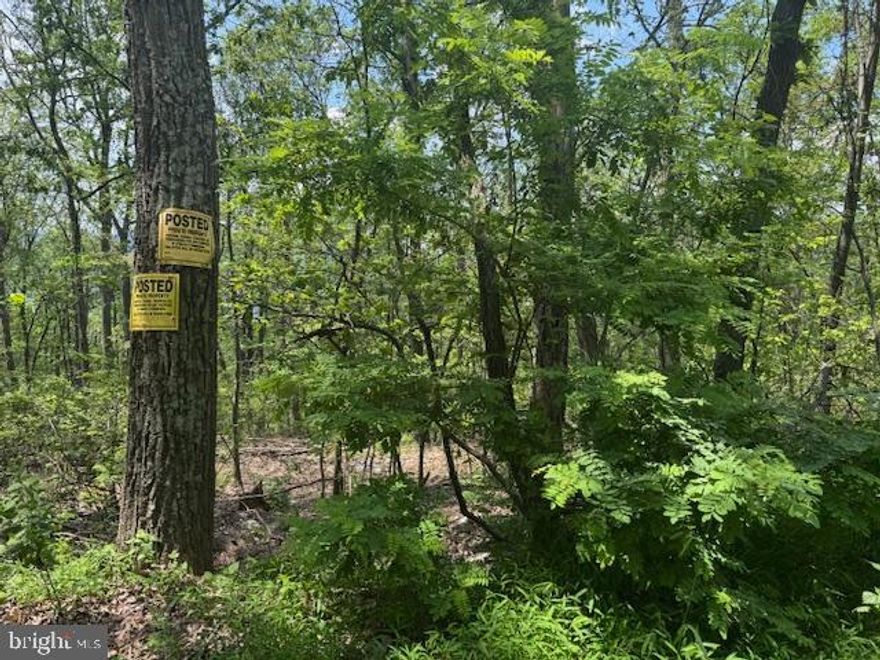 BACK ACTIVE DUE TO A BUYER NO SHOW! Escape to the mountains with this 2.71-acre parcel of raw land off Eastwood Drive. Tucked away in a quiet, secluded location, this property offers the perfect setting for your weekend getaway, cabin, or future homesite.

With no electric, water, or sewer in place, it’s ideal for those seeking off-grid living or recreational use. Through the trees, enjoy beautiful mountain views that stretch across Keyser, Romney, Winchester, and the surrounding areas.

Whether you’re looking for privacy, nature, or simply a peaceful retreat, this property checks all the boxes.

Raw land  buyer to verify all utilities and access.YOU WILL NEED A GATE CODE TO ACCESS THE PROPERTY, YOU MUST REACH OUT TO AGENT TO GET IT!

Directions: From Berkeley Springs take Route 9 West towards Paw Paw. Take 29 S about 4 miles to a right on Falconwood (Look for Pin Oak fountain/Cacapon Heights SD sign). Turn right and go up the gravel drive to the top of the mountain you will see a  Gate at beginning of Eastwood Drive and mountain top. Its on the left side ( there are 2 gates - use the left one) You will need a code to enter- then go past the gate and up the hill after the cabin you'll see posted yellow signs that is the beginning of the property ON LEFT- the black sign is middle the last yellow sign is the end of this property. ( if you put falconwood road paw paw wv 25434 in GPS it takes you to where you need to get to the gate.