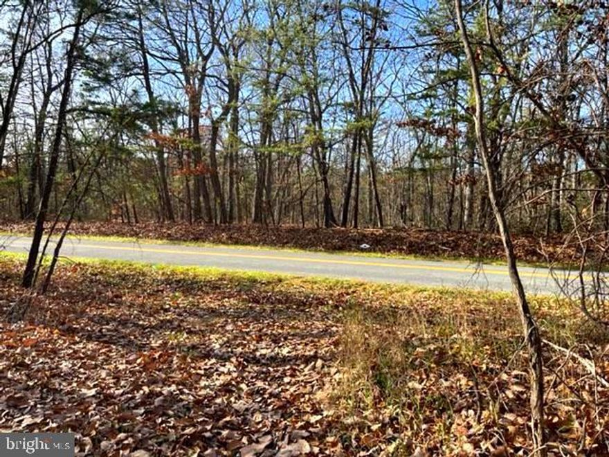 Terrific parcel of land about 1/2 hour north of Winchester.  No covenants, no restrictions.  Great hunting. Trails through the land.  Fully wooded with nice hardwoods.  Has over 800' frontage on N. Timber Ridge Rd. Quaint country Church just past the property.  Very close to the Morgan County, WV state line.  Land has not been surveyed or "perced" for septic.