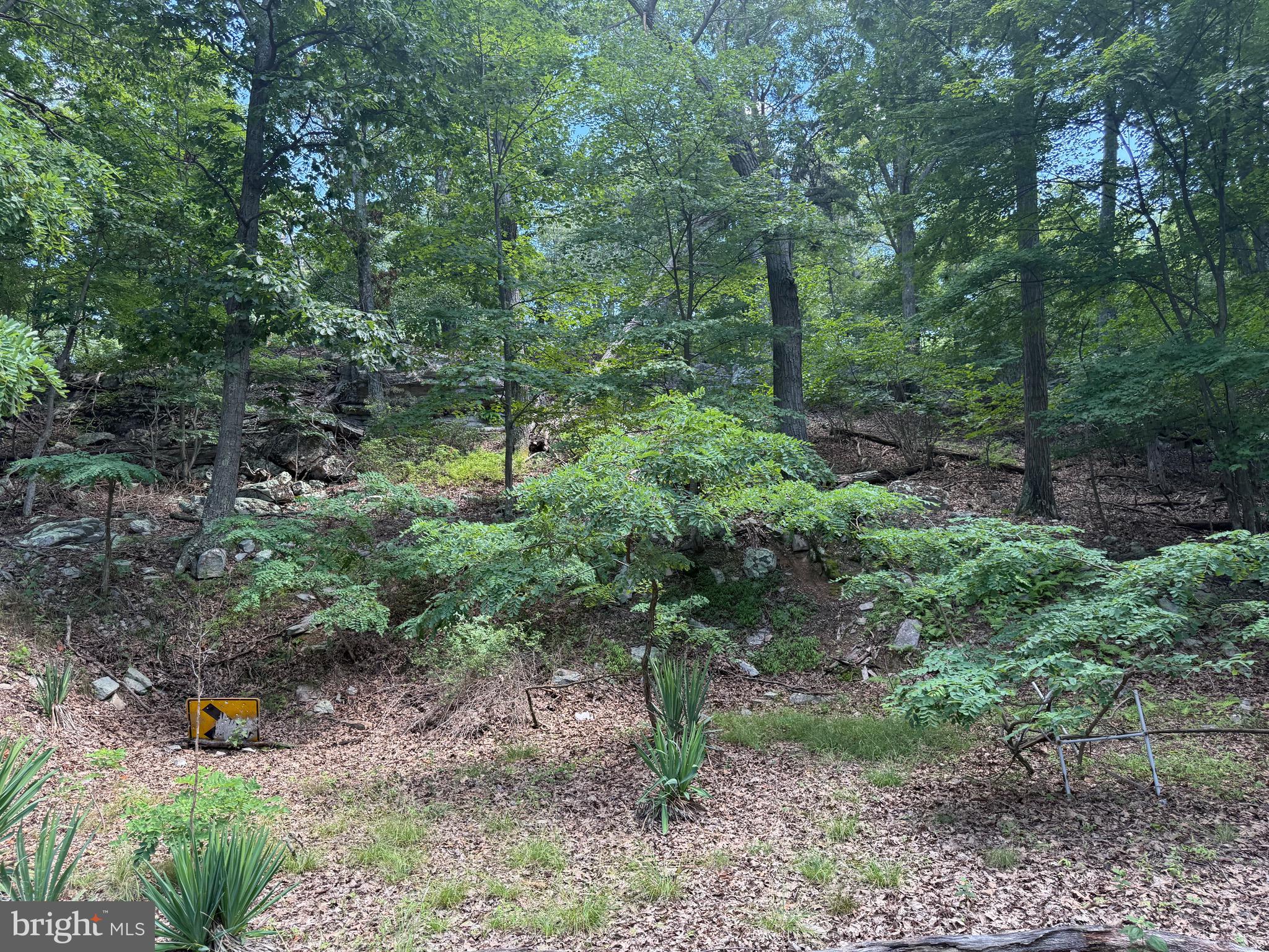 POTOMAC VALLEY VISTA - Land