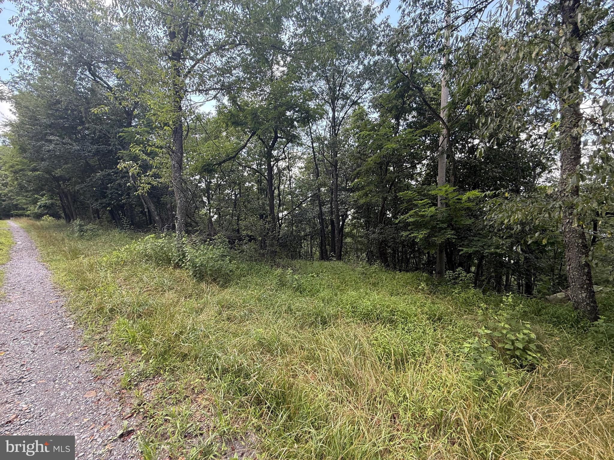 0 FIRE TOWER ROAD