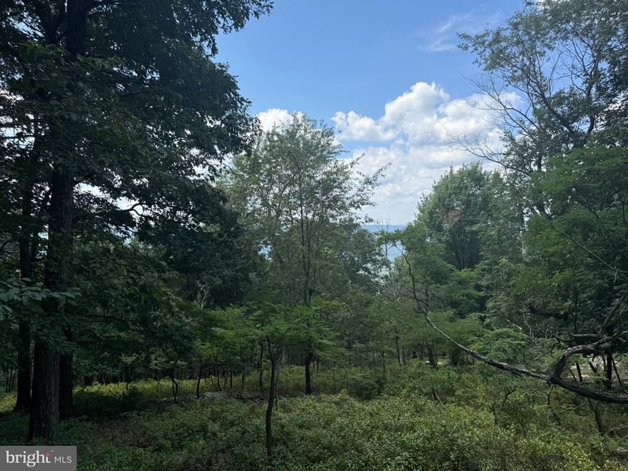 Are You looking for a lot with great potential Mountain View’s!? Look no further! This 6+ acre lot is calling your name. Located in the mountains of Great Cacapon with a rough cut driveway and building lot already installed is ready for you! Electric is right at the top of the driveway.