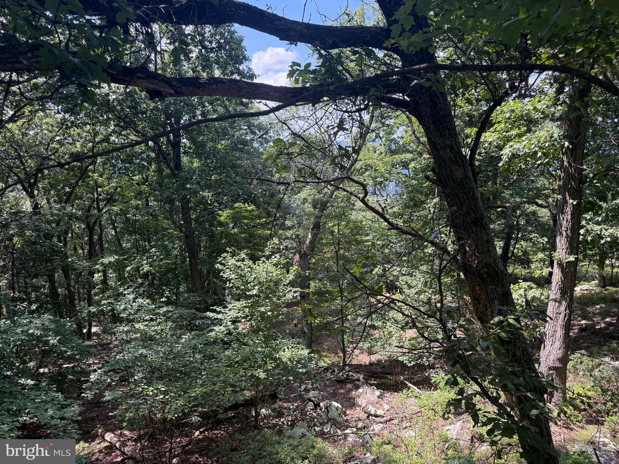 POTOMAC VALLEY VISTA - Land