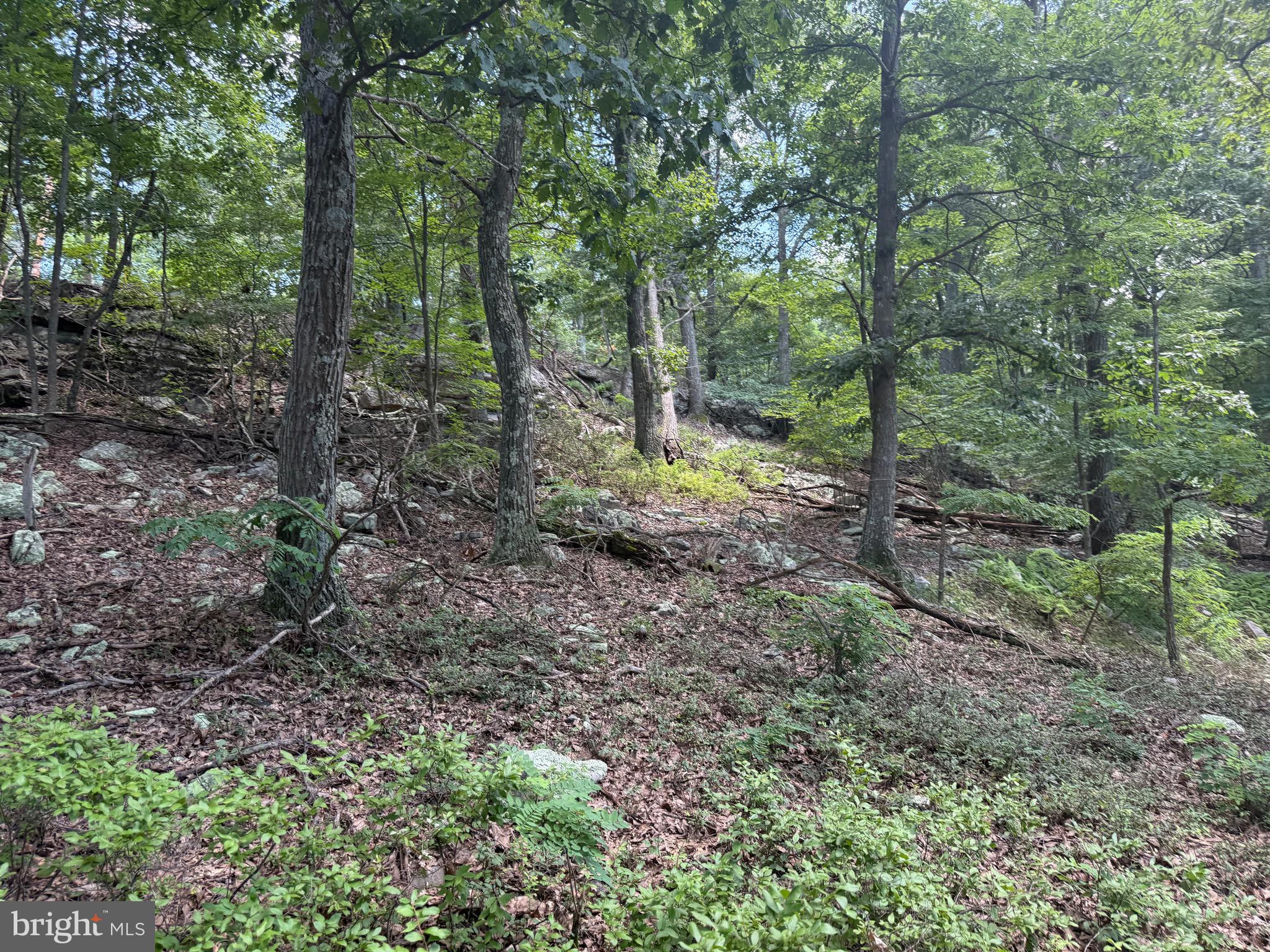 POTOMAC VALLEY VISTA - Land