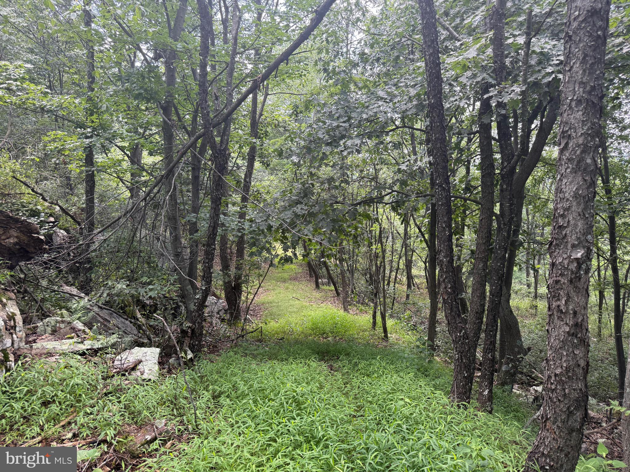 0 FIRE TOWER ROAD