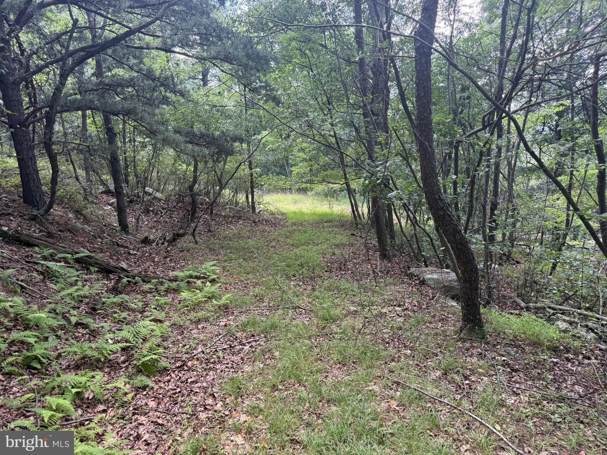 0 FIRE TOWER ROAD