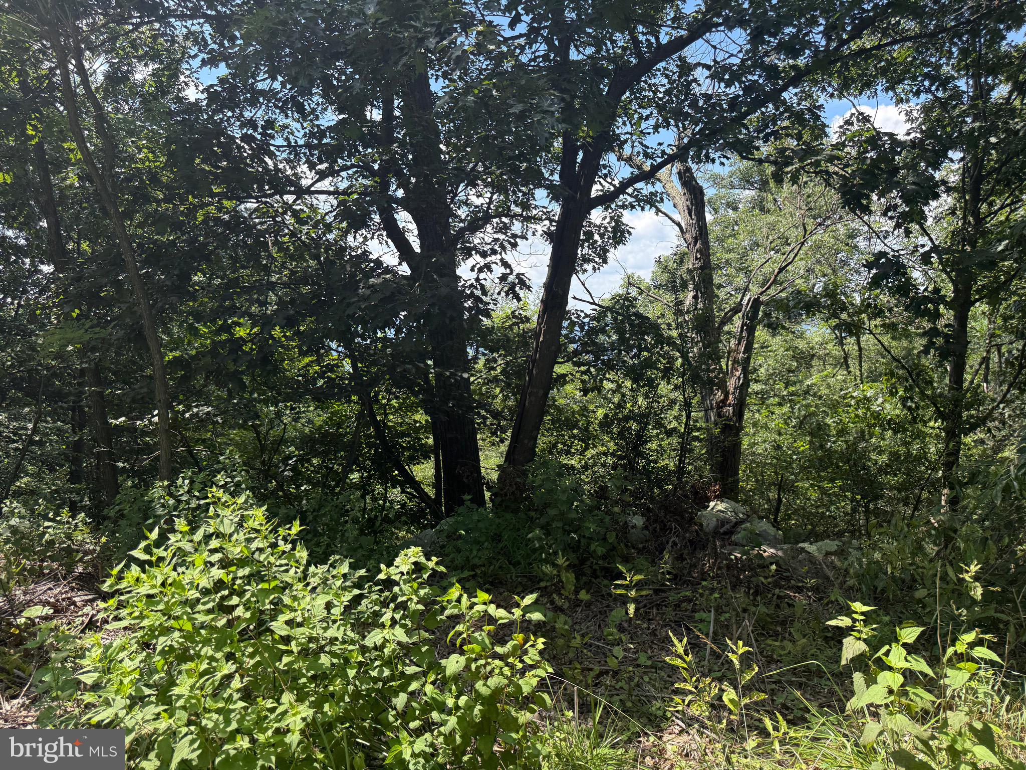 POTOMAC VALLEY VISTA - Land