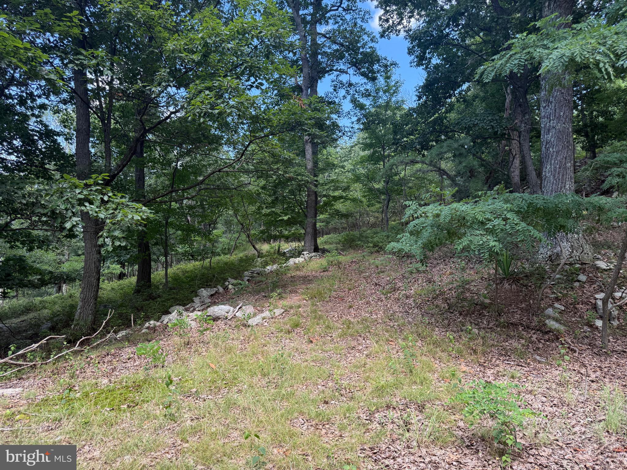 POTOMAC VALLEY VISTA - Land