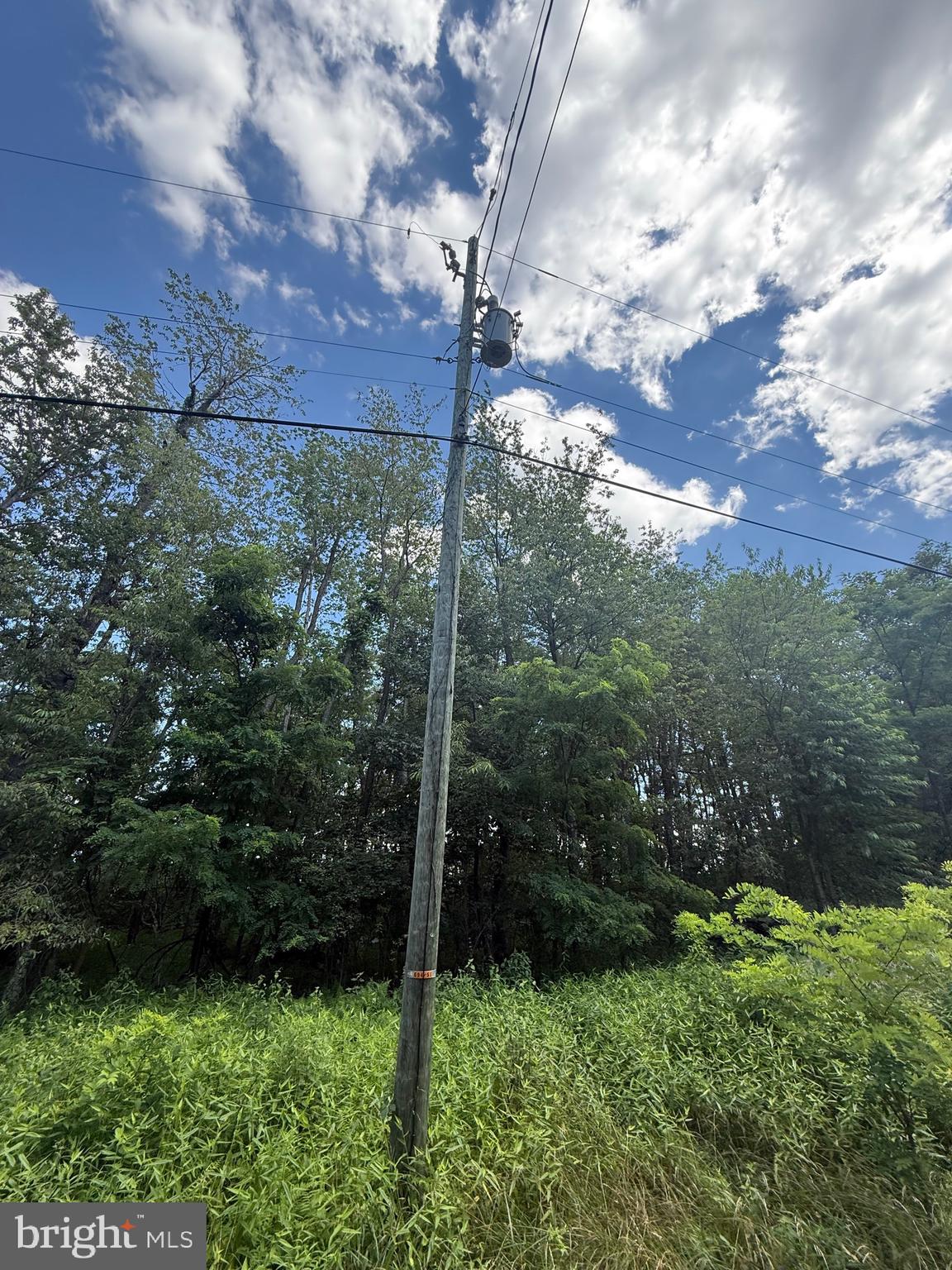 POTOMAC VALLEY VISTA - Land