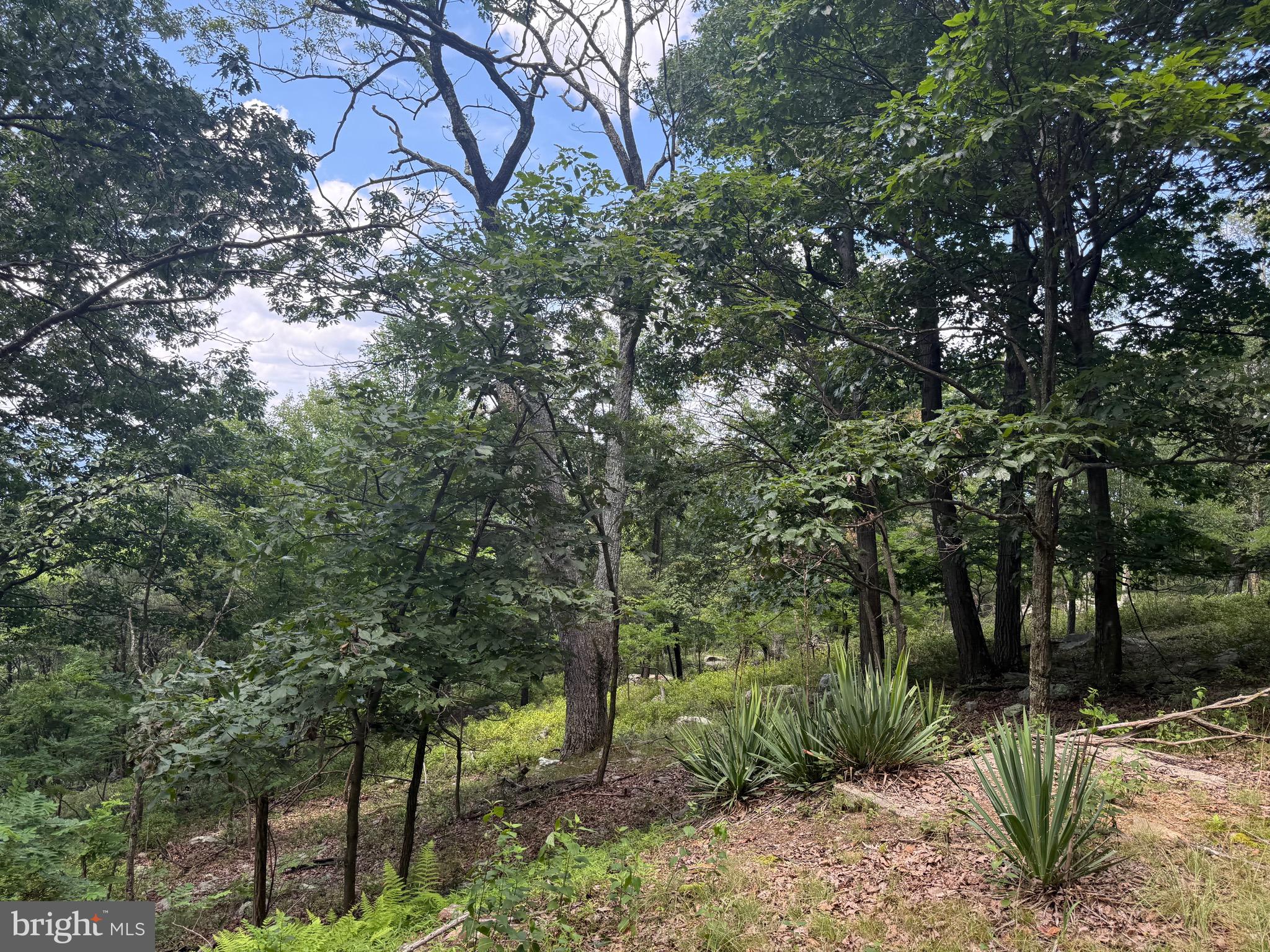 0 FIRE TOWER ROAD