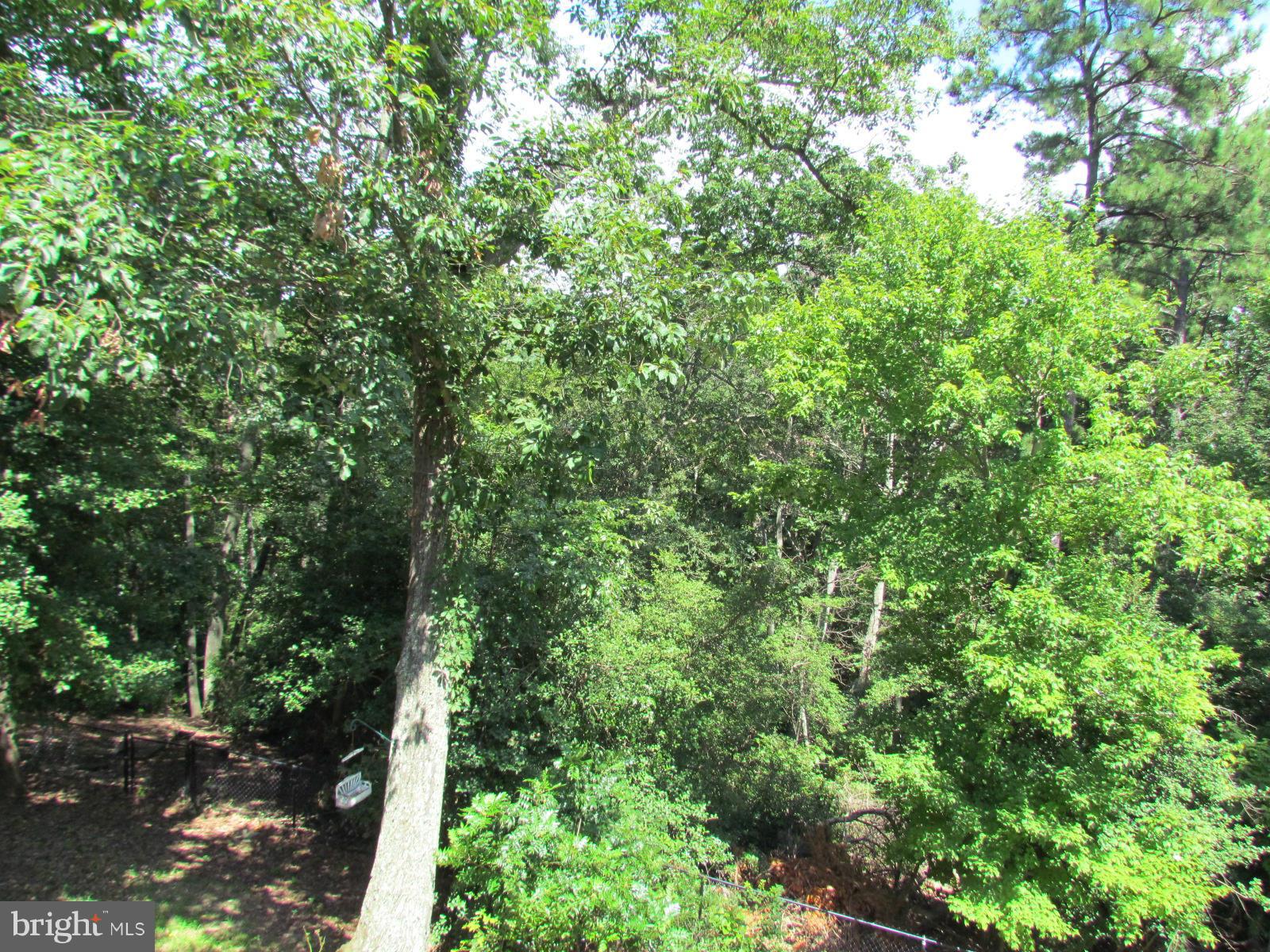 CHESAPEAKE RANCH ESTATES - Residential Lease