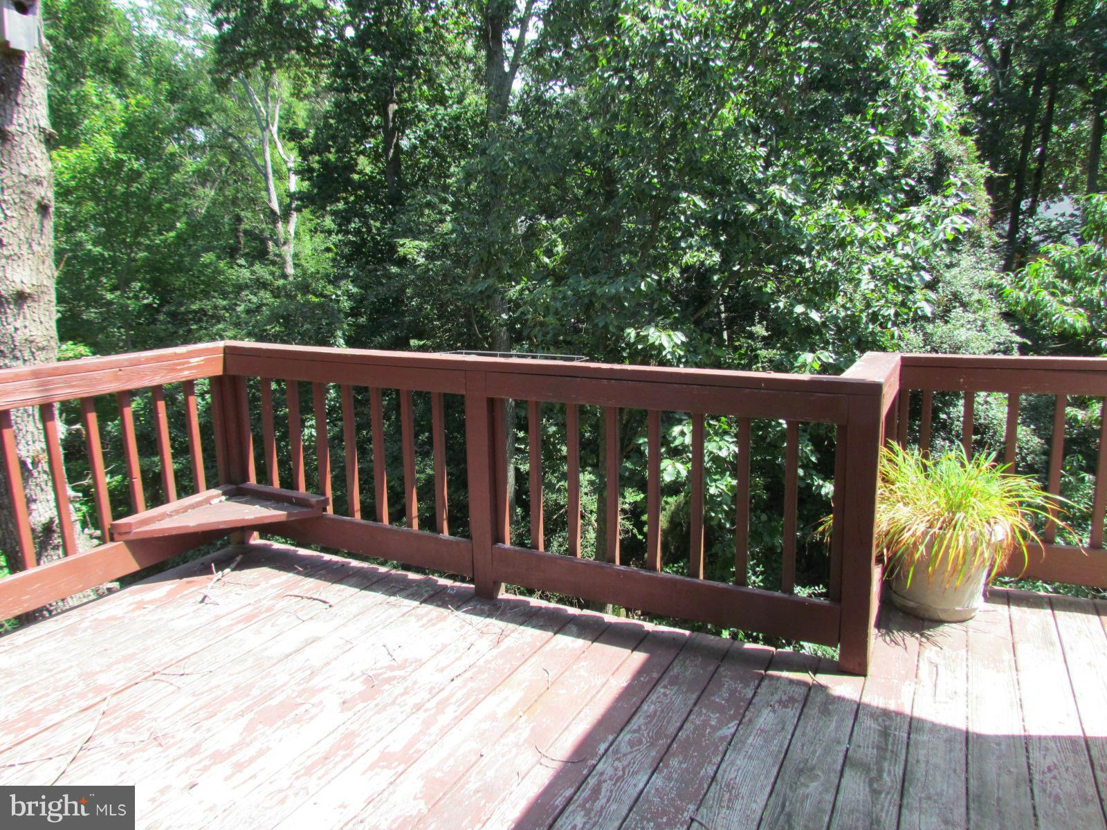 CHESAPEAKE RANCH ESTATES - Residential Lease